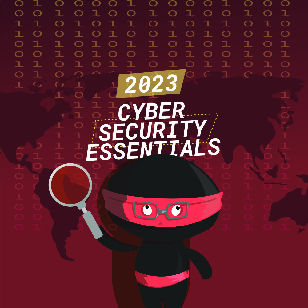 Ronin-Pentest – Cyber Essentials 2023